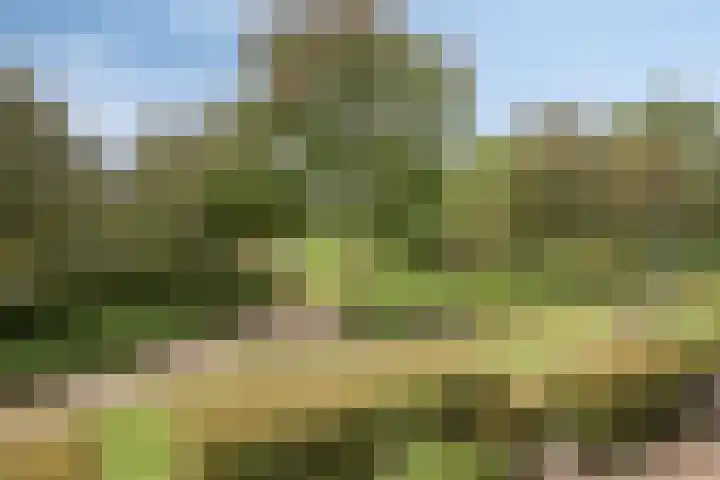 Koolwitjeslaan 39 Utrecht thumbnail 40