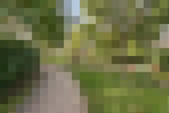 Koolwitjeslaan 39 Utrecht thumbnail 41