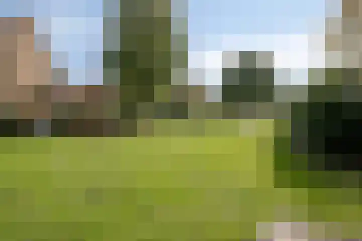 Koolwitjeslaan 39 Utrecht thumbnail 42