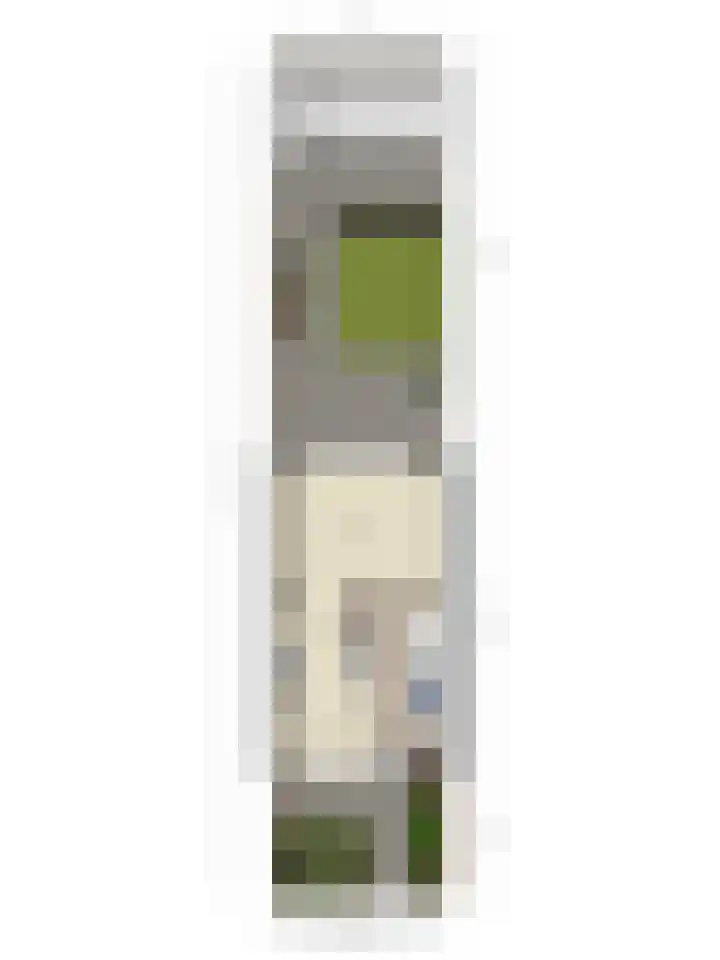 Koolwitjeslaan 39 Utrecht thumbnail 43