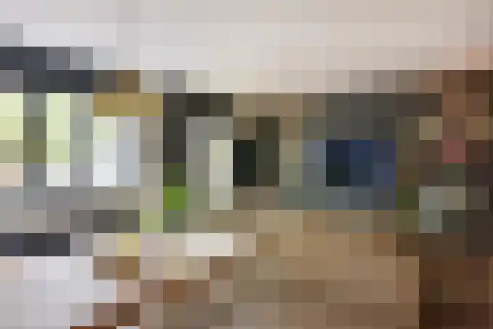 Koolwitjestraat 197 Aalsmeer thumbnail 6