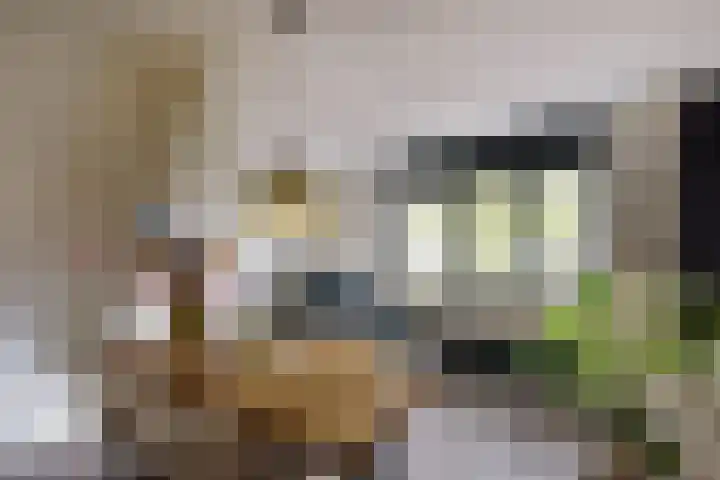 Koolwitjestraat 197 Aalsmeer thumbnail 7