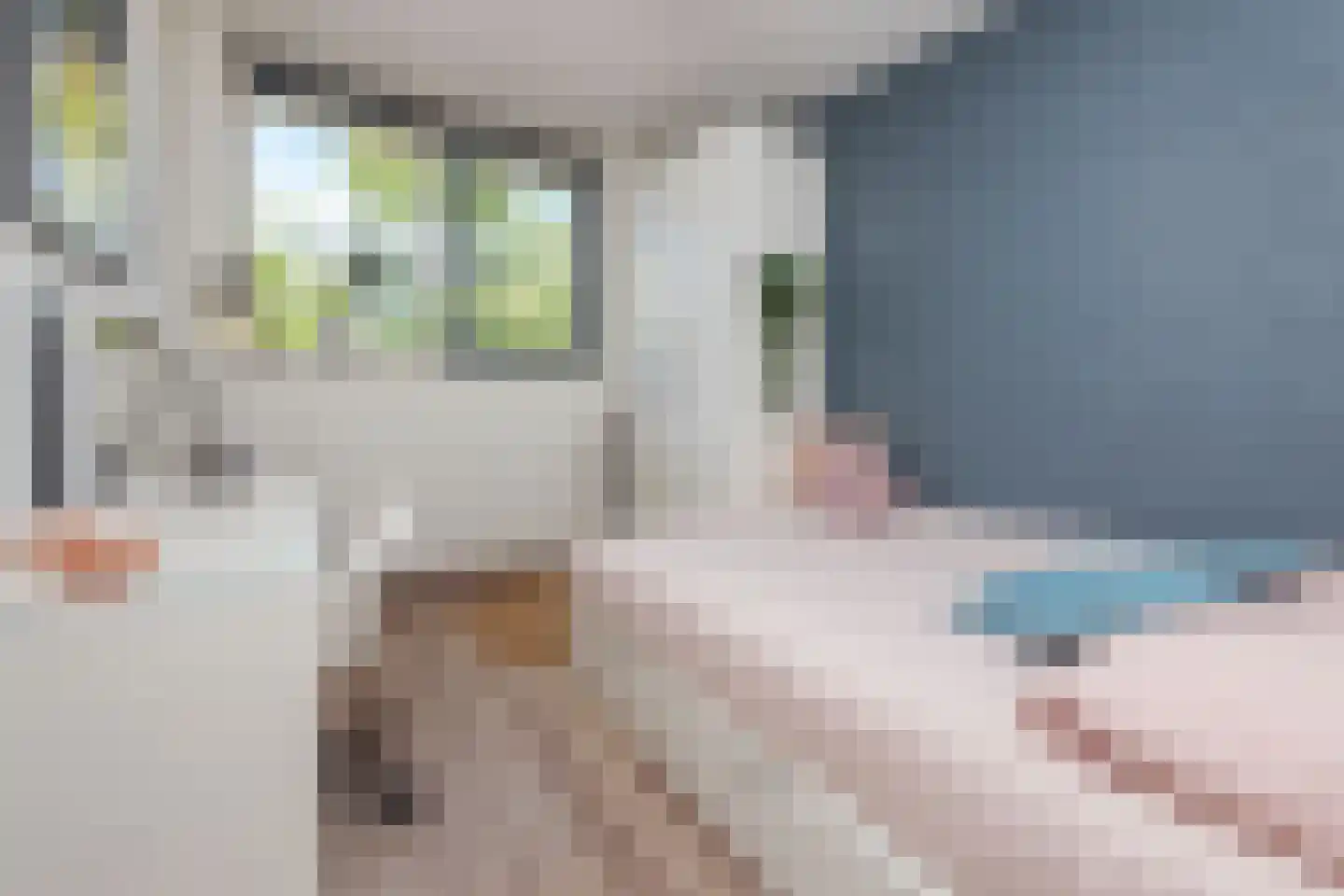 Koolwitjestraat 60 Aalsmeer thumbnail 16
