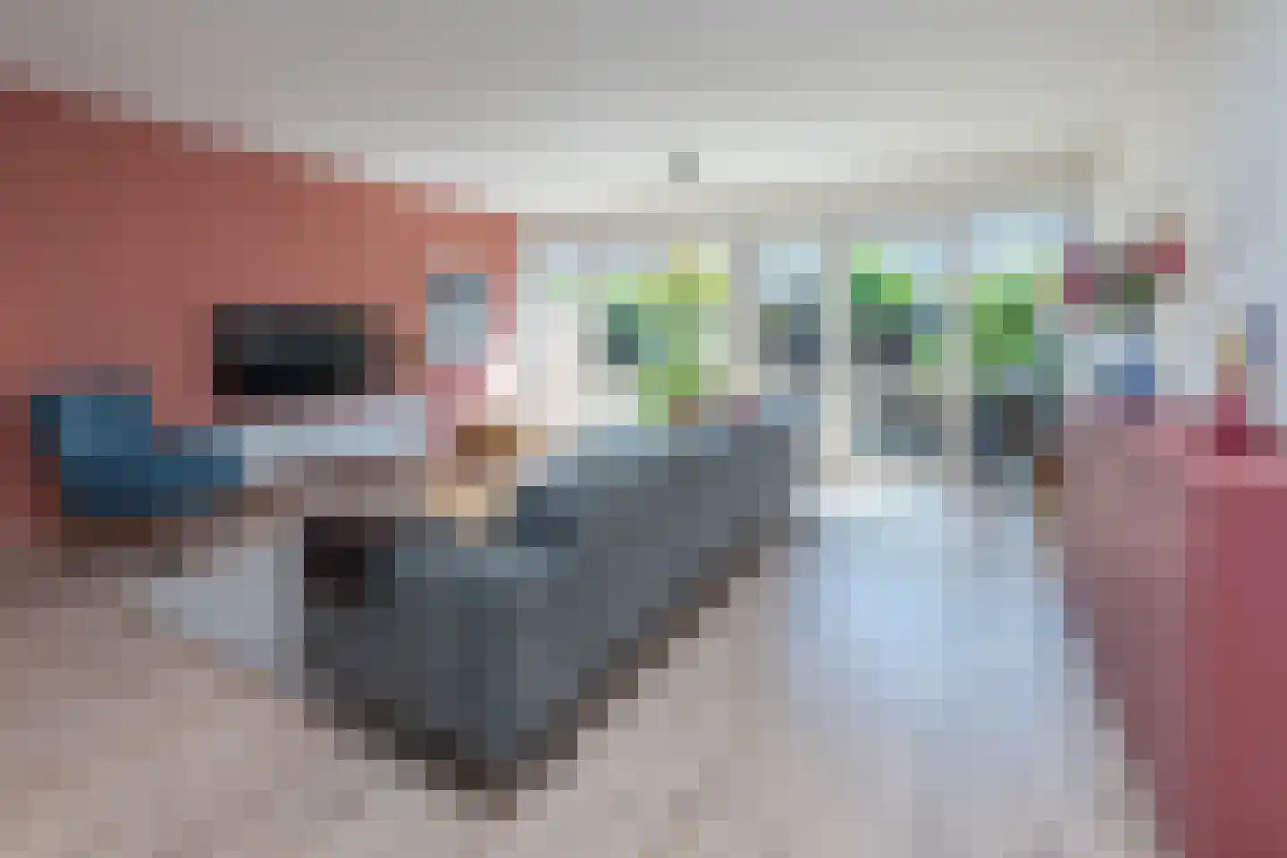 Koolwitjestraat 60 Aalsmeer thumbnail 9