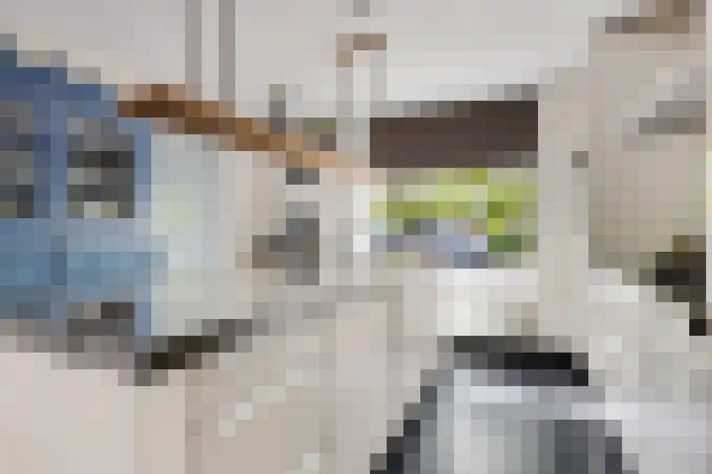 Koolwitjestraat 8 Aalsmeer thumbnail 8