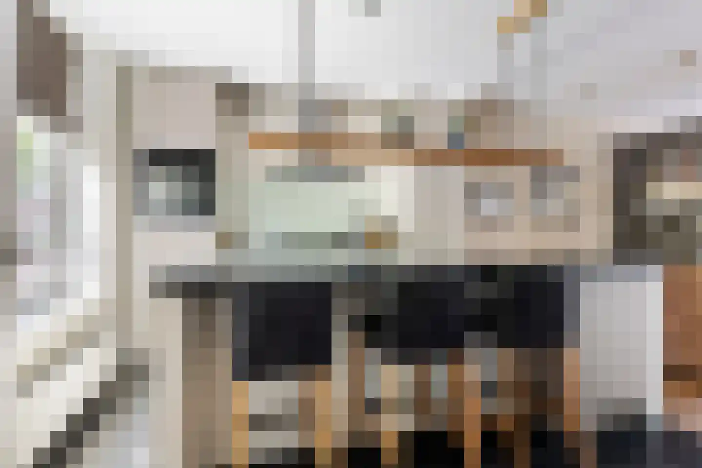 Koolwitjestraat 8 Aalsmeer thumbnail 9