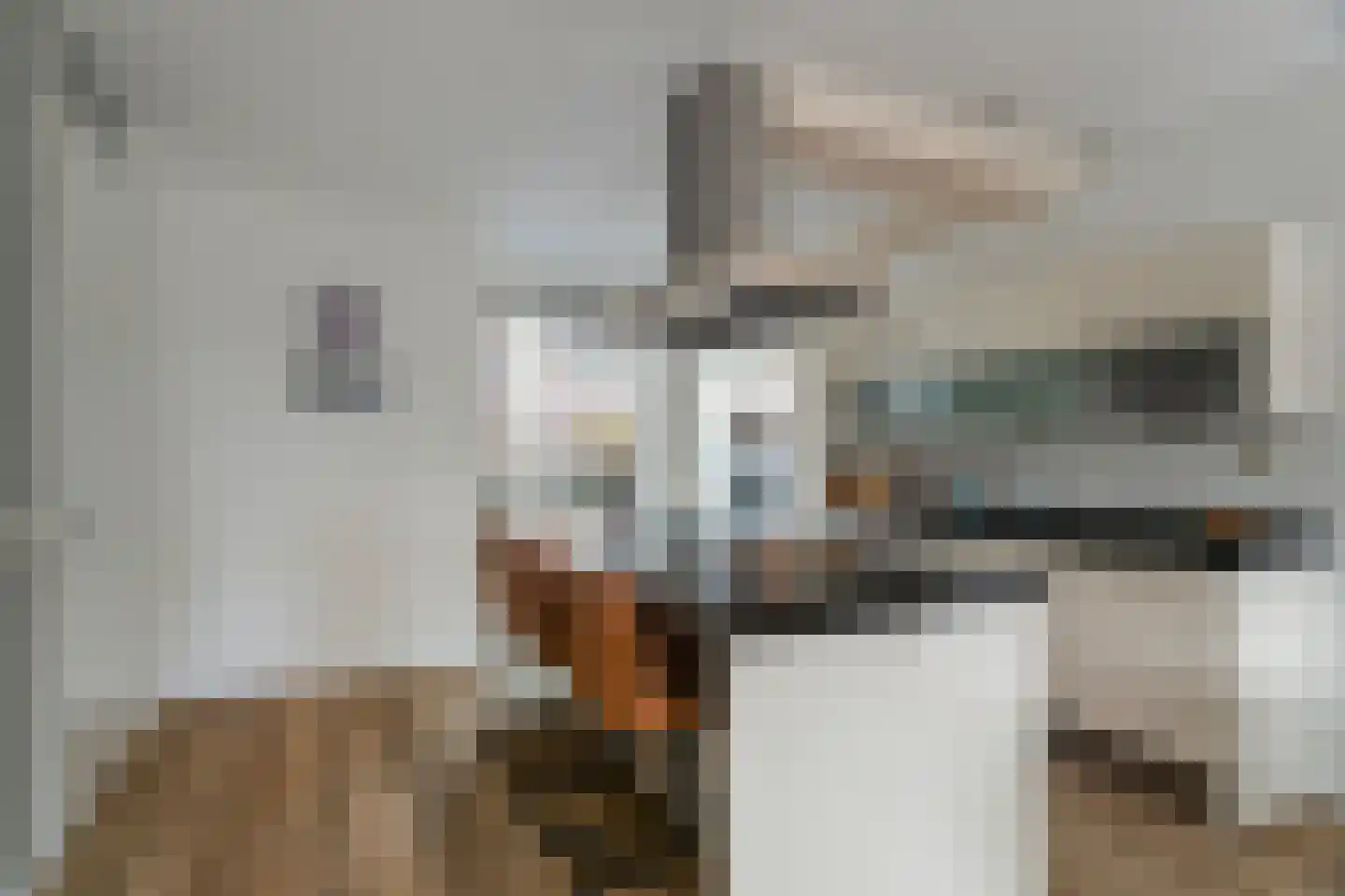 Koolwitjestraat 88 Aalsmeer thumbnail 4