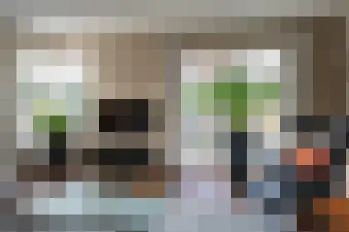 Koolzaad 3 Ruurlo thumbnail 12