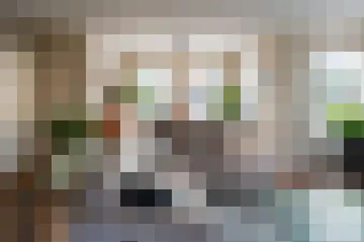 Koolzaad 3 Ruurlo thumbnail 13