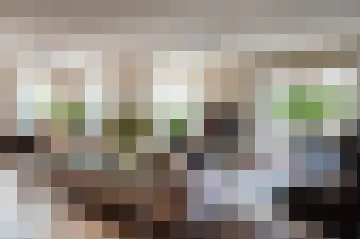 Koolzaad 3 Ruurlo thumbnail 15