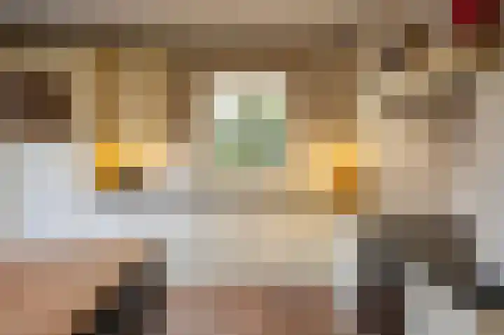 Koolzaad 3 Ruurlo thumbnail 20