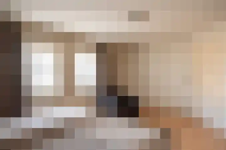Koolzaad 3 Ruurlo thumbnail 28