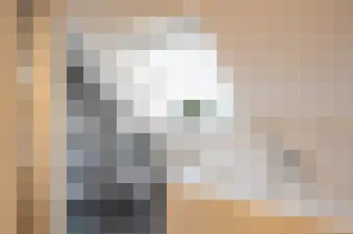 Koolzaad 3 Ruurlo thumbnail 31