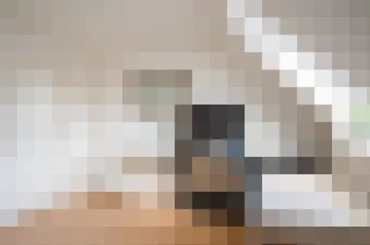 Koolzaad 3 Ruurlo thumbnail 35