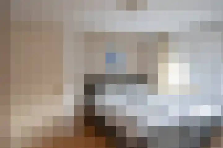 Koolzaad 3 Ruurlo thumbnail 38