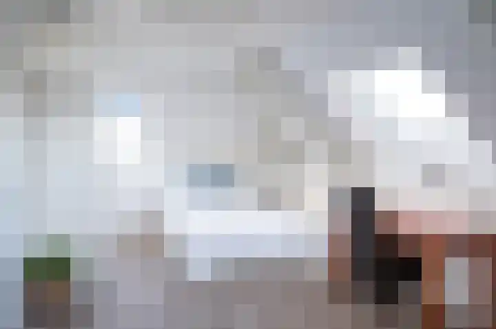 Koolzaad 3 Ruurlo thumbnail 39