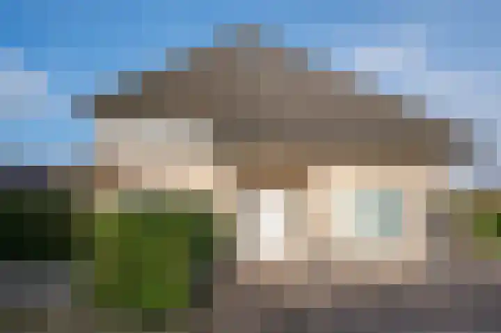 Koolzaad 3 Ruurlo thumbnail 4