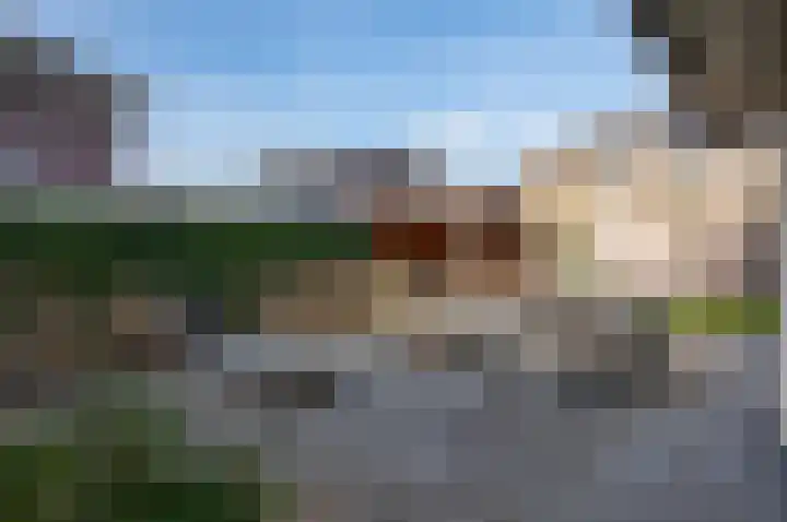 Koolzaad 3 Ruurlo thumbnail 41