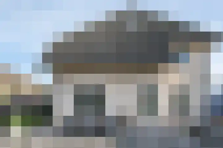 Koolzaad 3 Ruurlo thumbnail 42