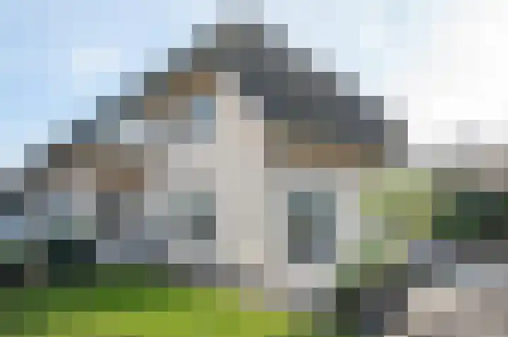 Koolzaad 3 Ruurlo thumbnail 43