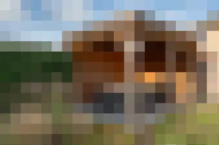 Koolzaad 3 Ruurlo thumbnail 44