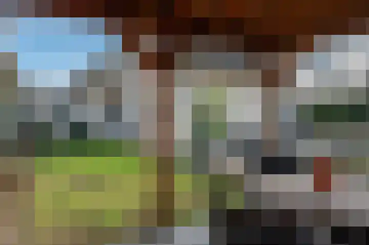 Koolzaad 3 Ruurlo thumbnail 45