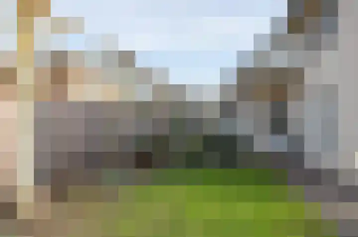 Koolzaad 3 Ruurlo thumbnail 46