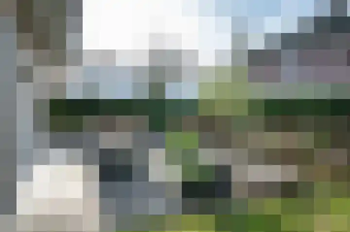 Koolzaad 3 Ruurlo thumbnail 47