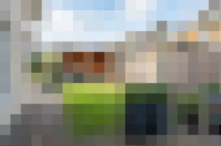 Koolzaad 3 Ruurlo thumbnail 48
