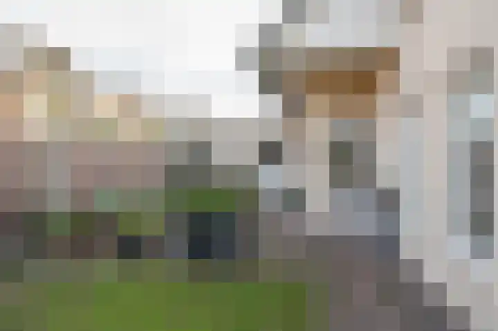 Koolzaad 3 Ruurlo thumbnail 49