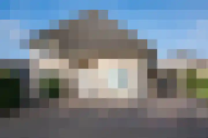 Koolzaad 3 Ruurlo thumbnail 5