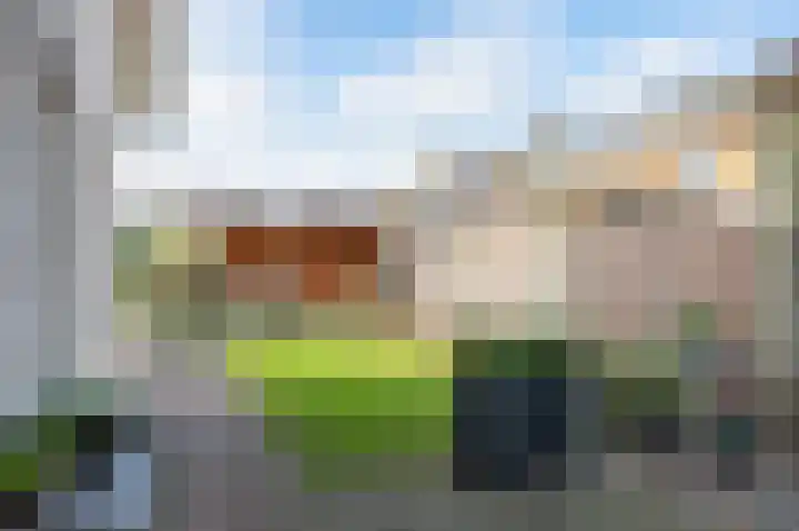 Koolzaad 3 Ruurlo thumbnail 50