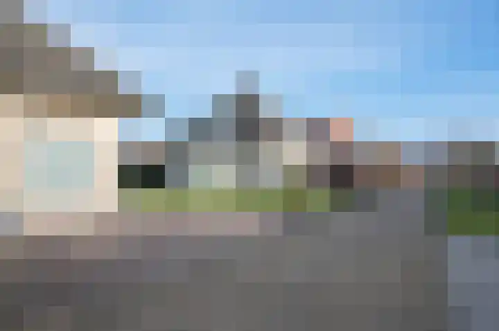 Koolzaad 3 Ruurlo thumbnail 51
