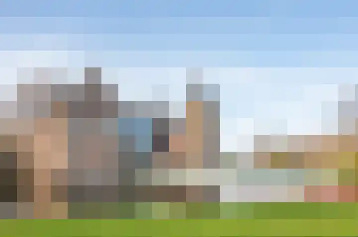 Koolzaad 3 Ruurlo thumbnail 52