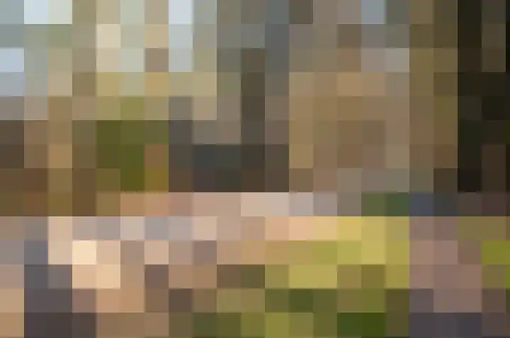 Koolzaad 3 Ruurlo thumbnail 53