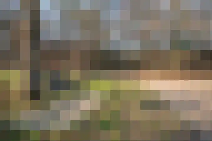 Koolzaad 3 Ruurlo thumbnail 55