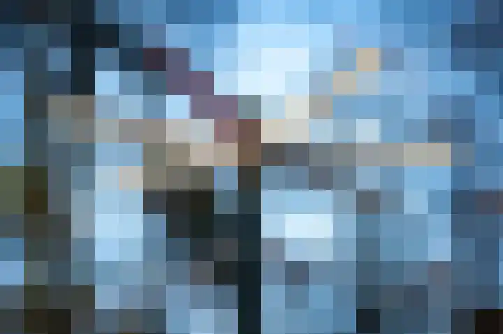 Koolzaad 3 Ruurlo thumbnail 56