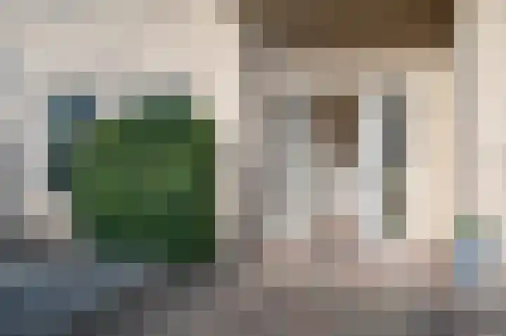 Koolzaad 3 Ruurlo thumbnail 6