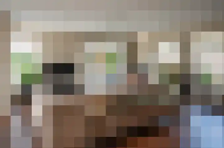 Koolzaad 3 Ruurlo thumbnail 9