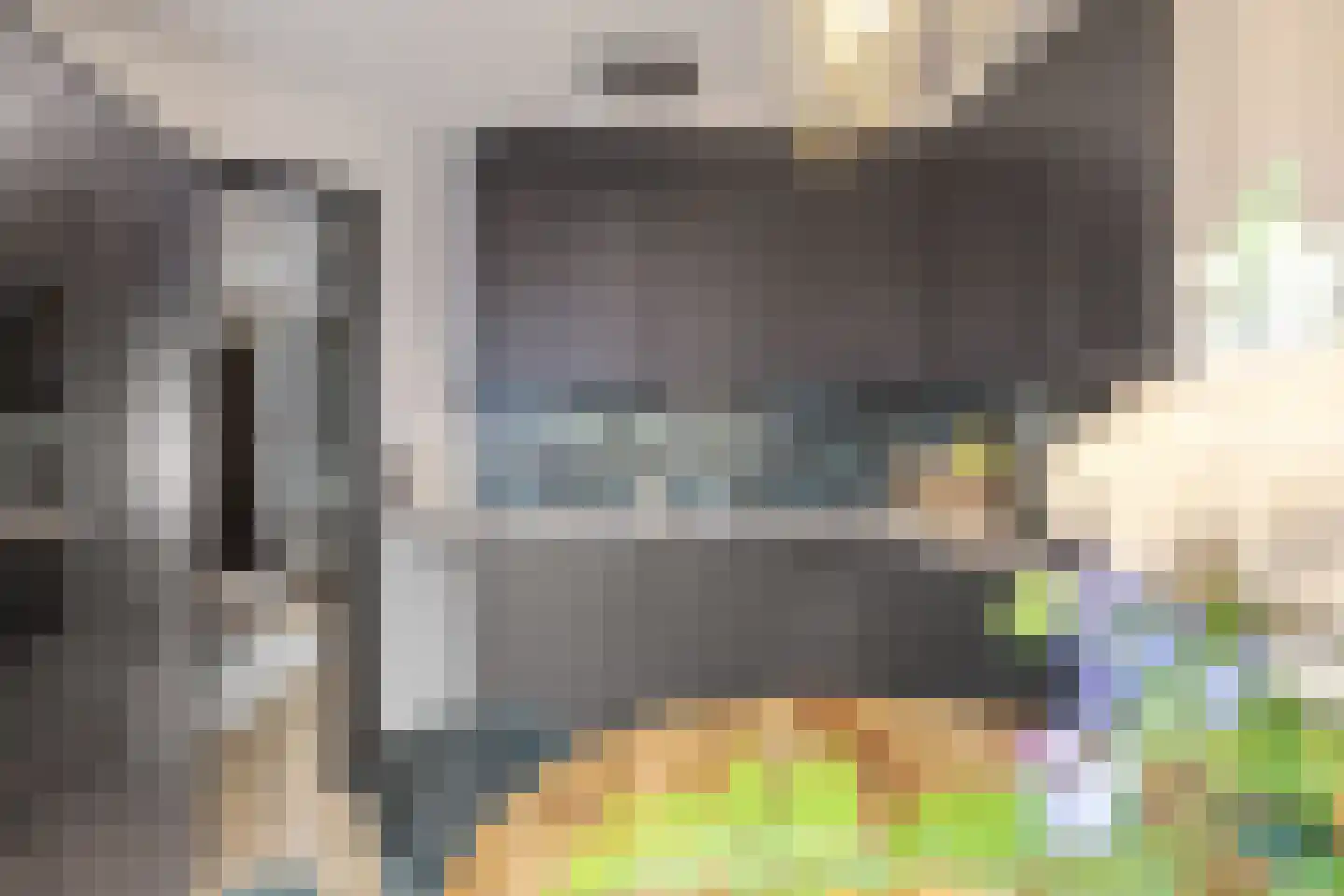 Koolzaad 33 Helden thumbnail 15