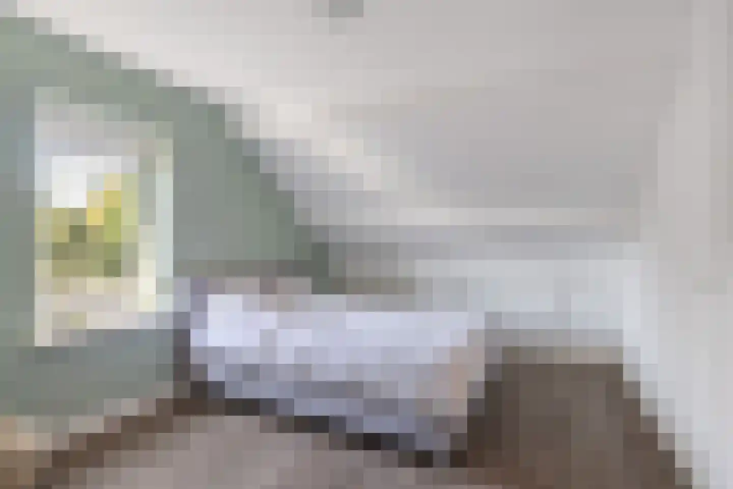 Koolzaad 33 Helden thumbnail 30
