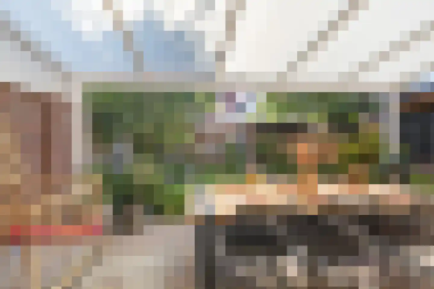Koolzaad 33 Helden thumbnail 32