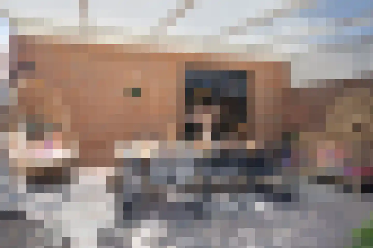 Koolzaad 33 Helden thumbnail 34