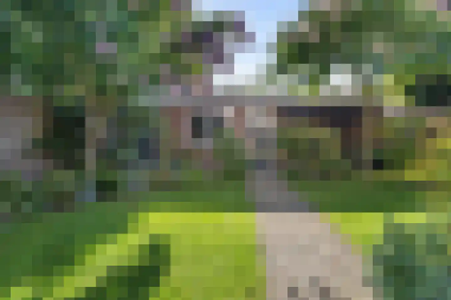 Koolzaad 33 Helden thumbnail 36