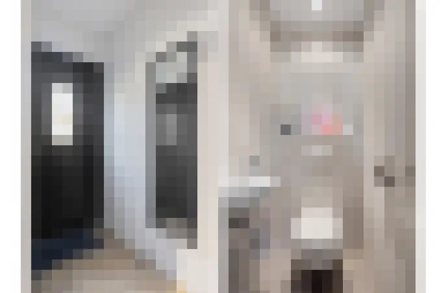 Koolzaad 33 Helden thumbnail 5