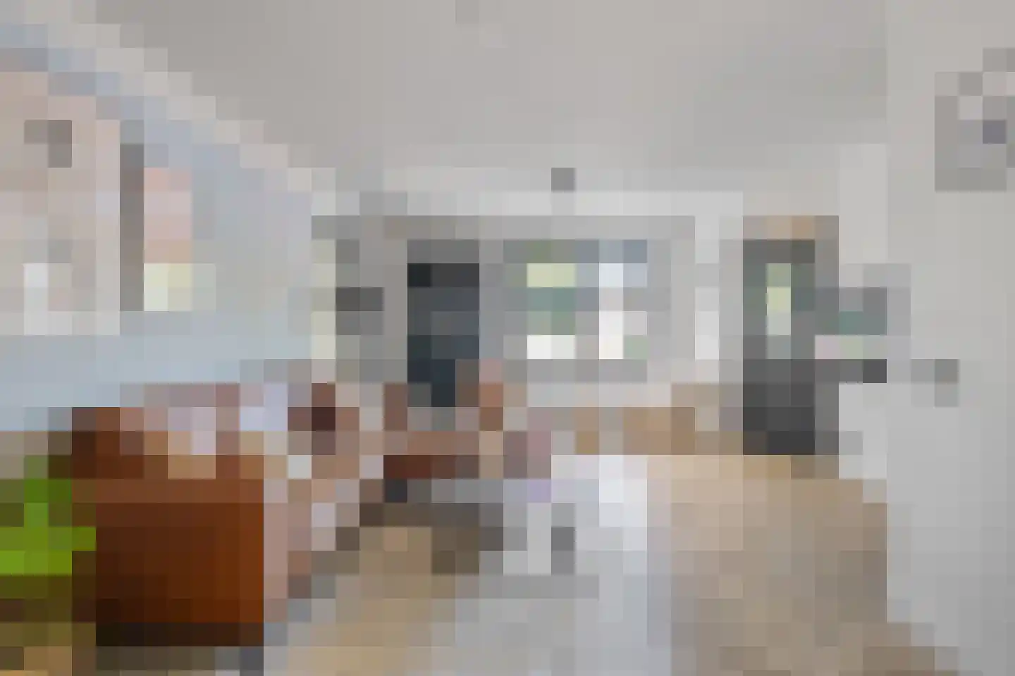 Koolzaad 33 Helden thumbnail 6