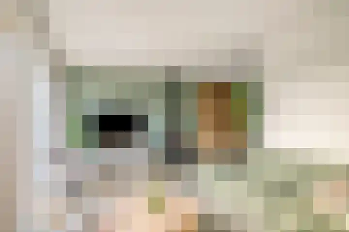 Koolzaadakker 11 Heino thumbnail 11