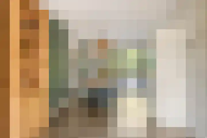 Koolzaadakker 11 Heino thumbnail 12