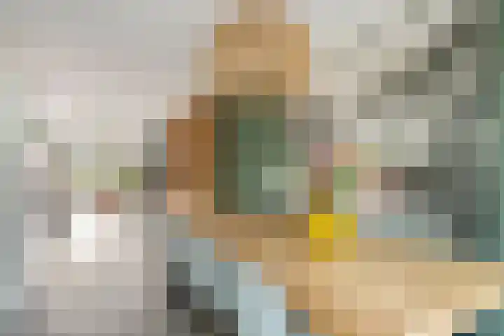 Koolzaadakker 11 Heino thumbnail 13