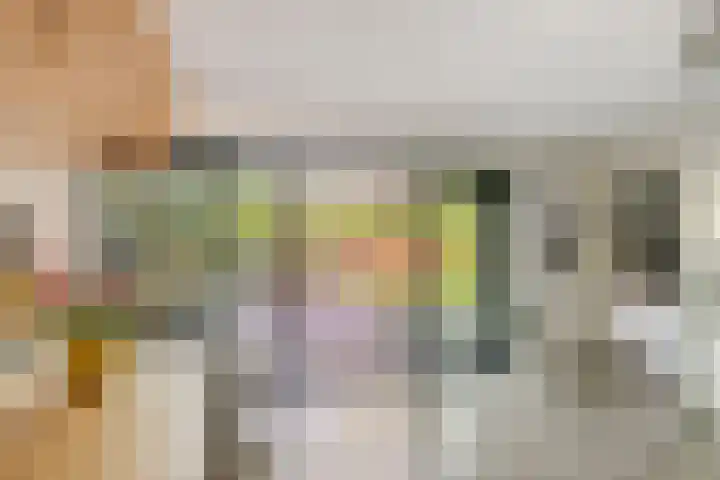 Koolzaadakker 11 Heino thumbnail 14